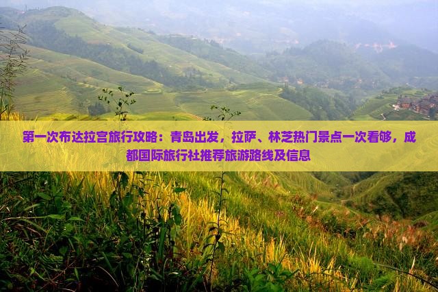 第一次布达拉宫旅行攻略：青岛出发，拉萨、林芝热门景点一次看够，成都国际旅行社推荐旅游路线及信息