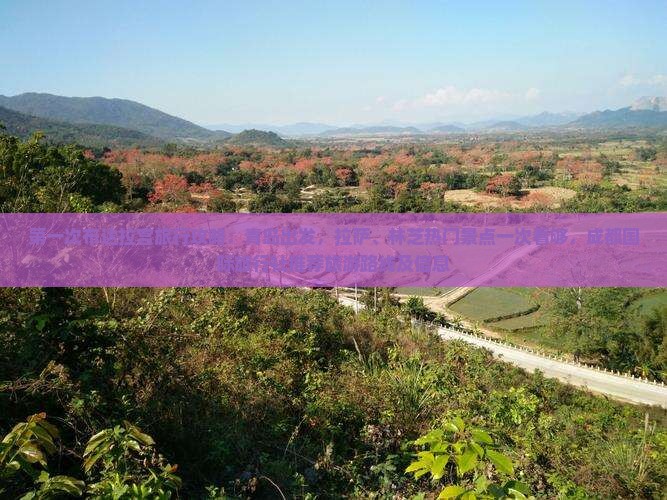 第一次布达拉宫旅行攻略：青岛出发，拉萨、林芝热门景点一次看够，成都国际旅行社推荐旅游路线及信息