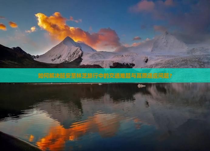 如何解决延安至林芝旅行中的交通难题与高原适应问题？