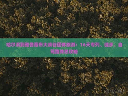 哈尔滨到雅鲁藏布大峡谷团体旅游：16天专列、徒步、自驾路线总攻略