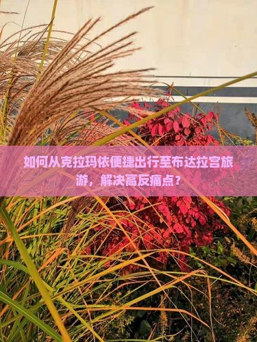 如何从克拉玛依便捷出行至布达拉宫旅游，解决高反痛点？