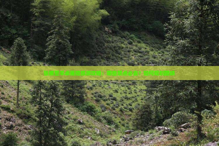 张掖至羊卓雍措旅游攻略：哪些景点必去？如何规划路峡