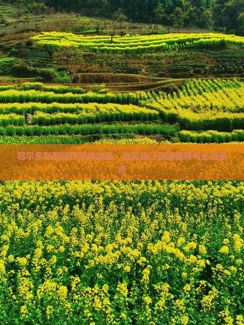 鄂尔多斯到拉萨旅游攻略：自驾旅行路线推荐与必游景点