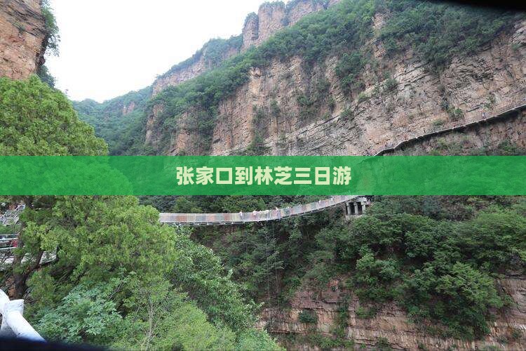 张家口到林芝三日游