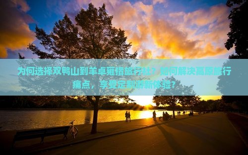 为何选择双鸭山到羊卓雍措旅行社？如何解决高原旅行痛点，享受定制游新体验？