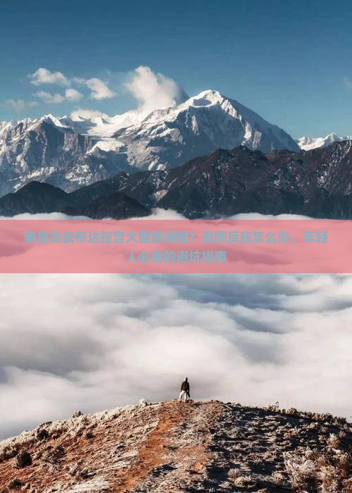 秦皇岛去布达拉宫大型旅游团？高原反应怎么办，年轻人必看的避坑指南