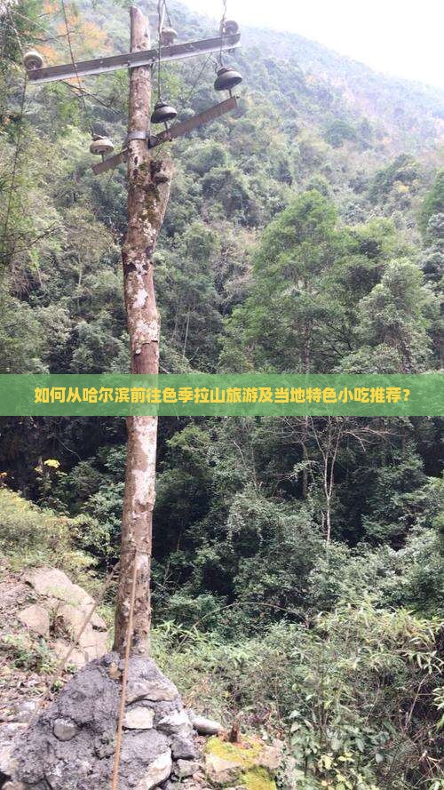 如何从哈尔滨前往色季拉山旅游及当地特色小吃推荐？