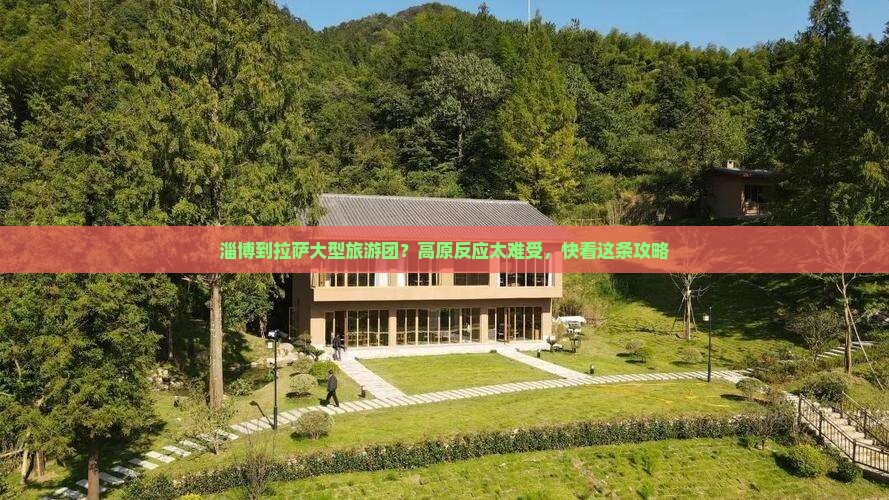 淄博到拉萨大型旅游团？高原反应太难受，快看这条攻略