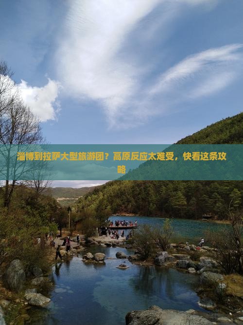 淄博到拉萨大型旅游团？高原反应太难受，快看这条攻略