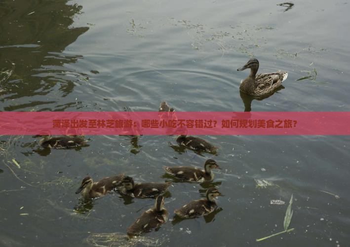 菏泽出发至林芝旅游：哪些小吃不容错过？如何规划美食之旅？