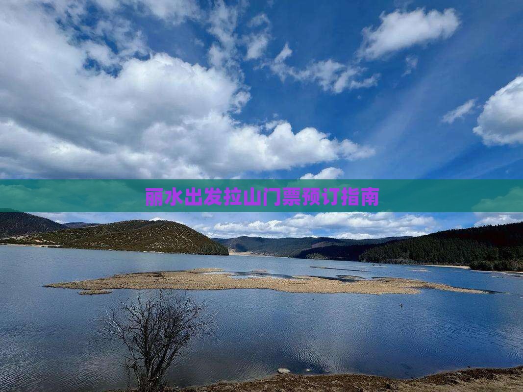 丽水出发拉山门票预订指南