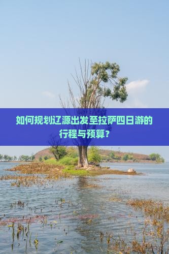 如何规划辽源出发至拉萨四日游的行程与预算？
