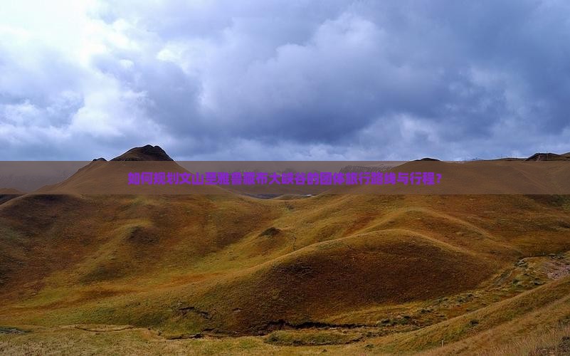 如何规划文山至雅鲁藏布大峡谷的团体旅行路线与行程？