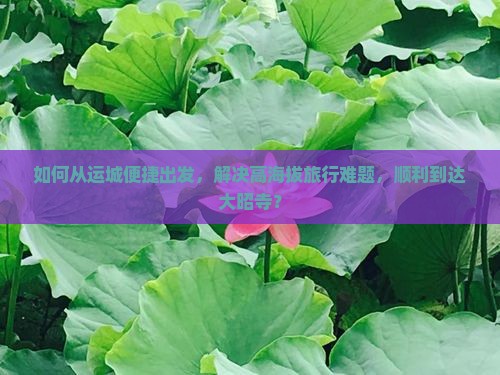 如何从运城便捷出发，解决高海拔旅行难题，顺利到达大昭寺？