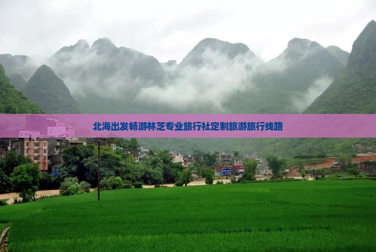北海出发畅游林芝专业旅行社定制旅游旅行线路