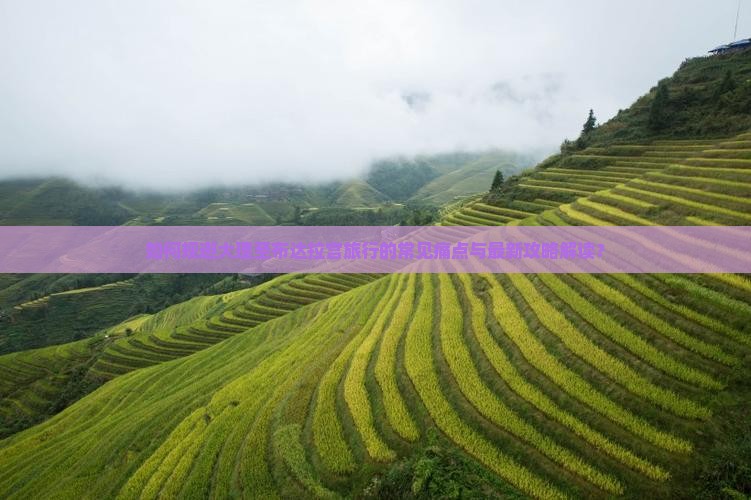 如何规避大理至布达拉宫旅行的常见痛点与最新攻略解读？