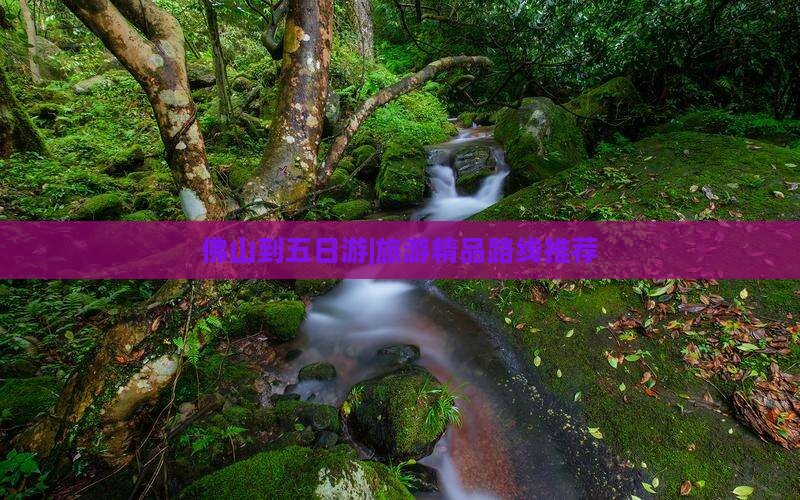 佛山到五日游|旅游精品路线推荐