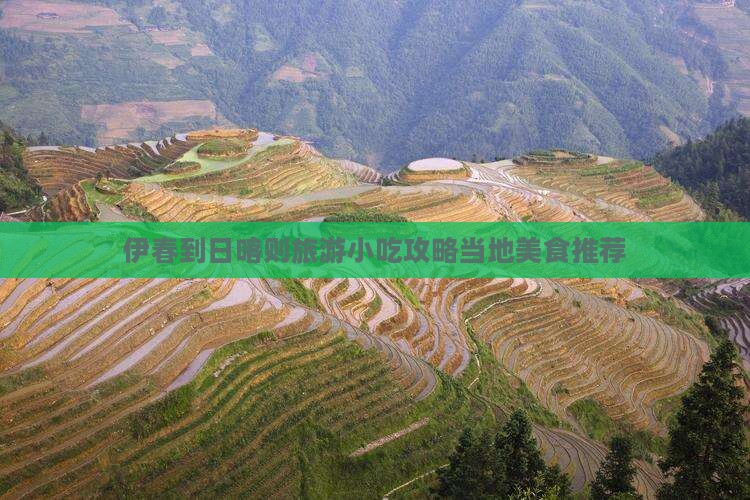 伊春到日喀则旅游小吃攻略当地美食推荐