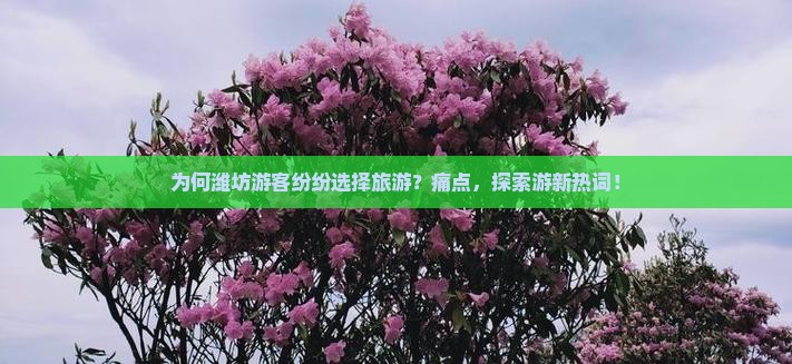 为何潍坊游客纷纷选择旅游？痛点，探索游新热词！