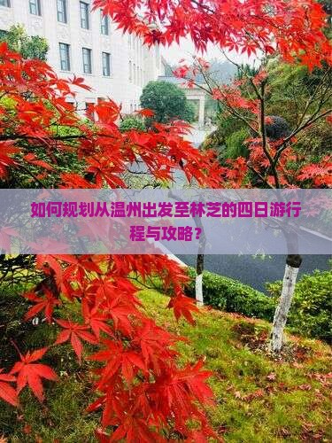 如何规划从温州出发至林芝的四日游行程与攻略？