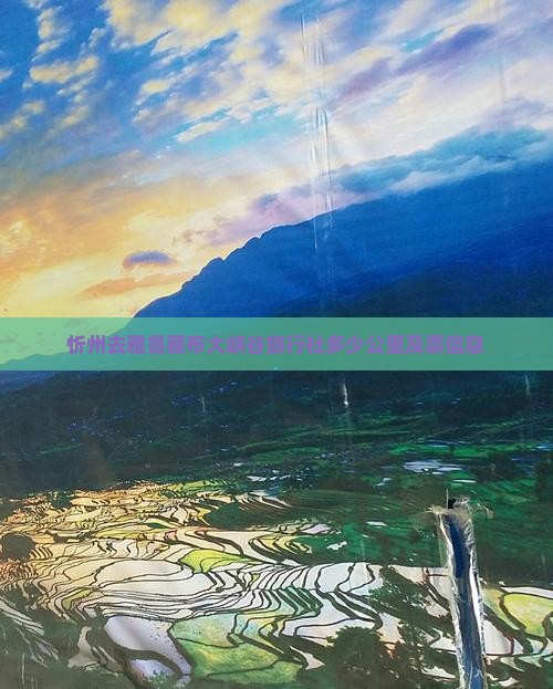忻州去雅鲁藏布大峡谷旅行社多少公里及票信息