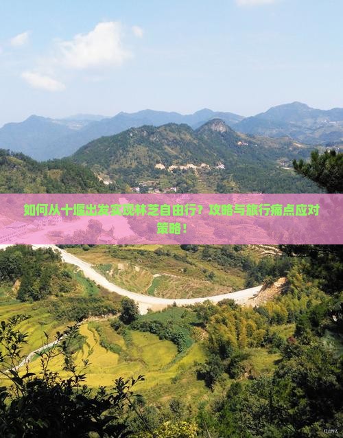 如何从十堰出发实现林芝自由行？攻略与旅行痛点应对策略！
