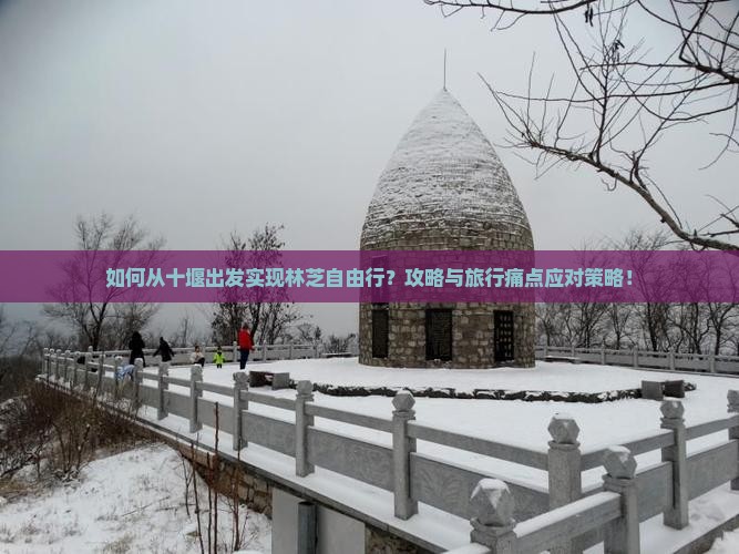 如何从十堰出发实现林芝自由行？攻略与旅行痛点应对策略！