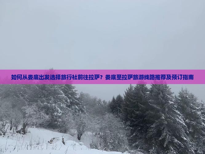 如何从娄底出发选择旅行社前往拉萨？娄底至拉萨旅游线路推荐及预订指南