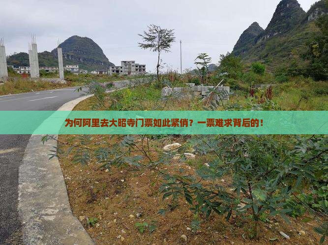 为何阿里去大昭寺门票如此紧俏？一票难求背后的！