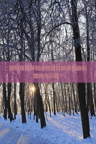如何规划呼和浩特至日喀则自由行路线与行程？