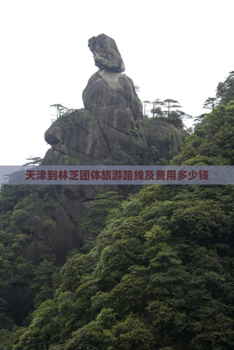 天津到林芝团体旅游路线及费用多少钱