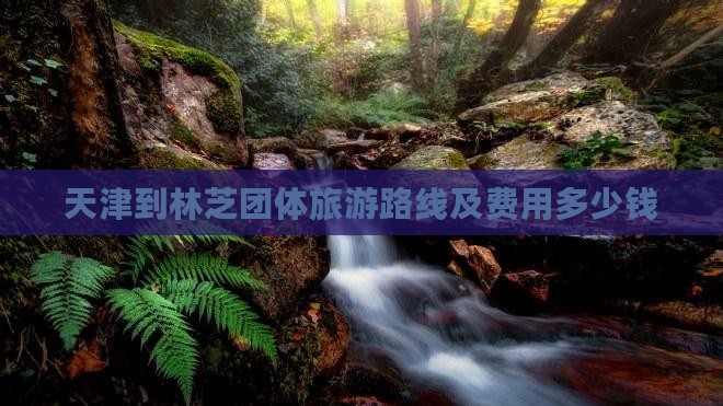 天津到林芝团体旅游路线及费用多少钱