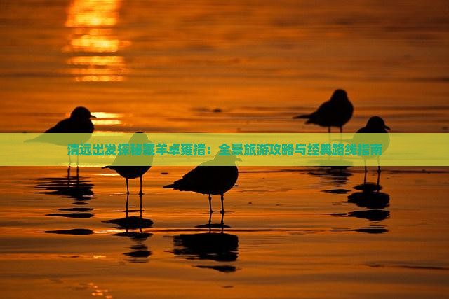 清远出发探秘藏羊卓雍措：全景旅游攻略与经典路线指南