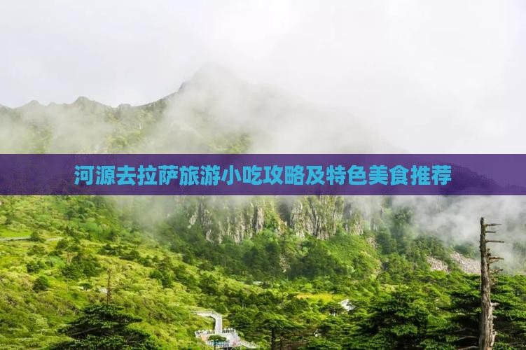 河源去拉萨旅游小吃攻略及特色美食推荐