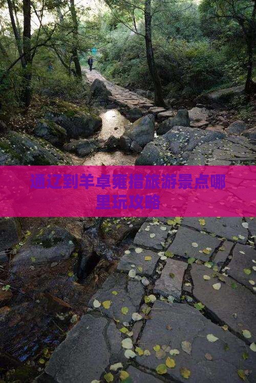 通辽到羊卓雍措旅游景点哪里玩攻略