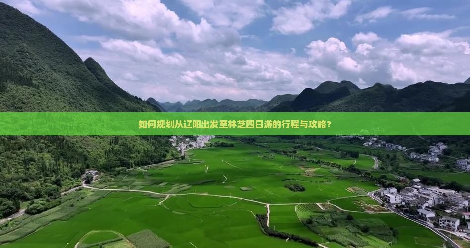 如何规划从辽阳出发至林芝四日游的行程与攻略？