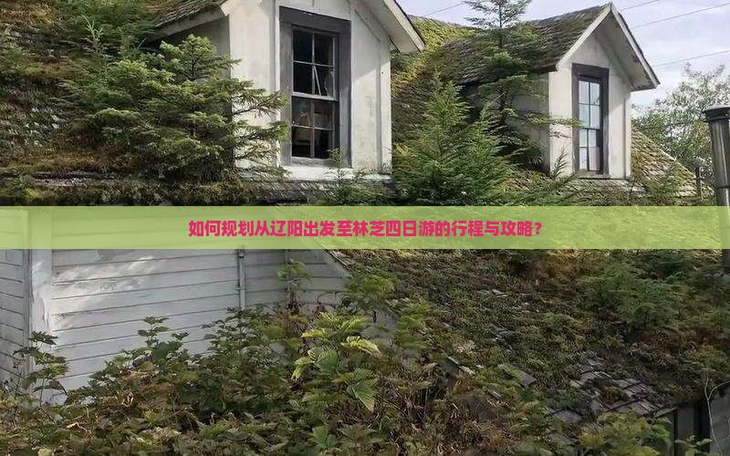 如何规划从辽阳出发至林芝四日游的行程与攻略？