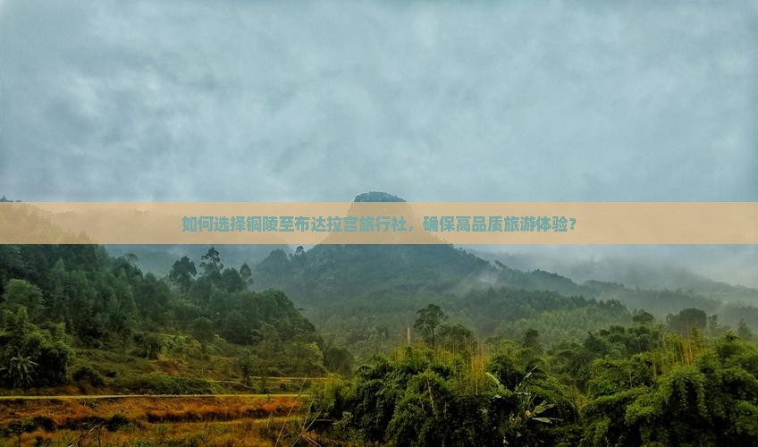 如何选择铜陵至布达拉宫旅行社，确保高品质旅游体验？