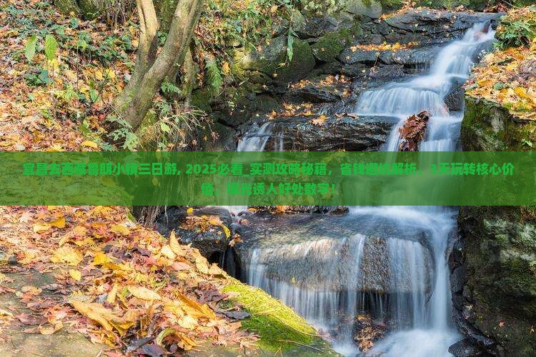 宜昌去西藏鲁朗小镇三日游