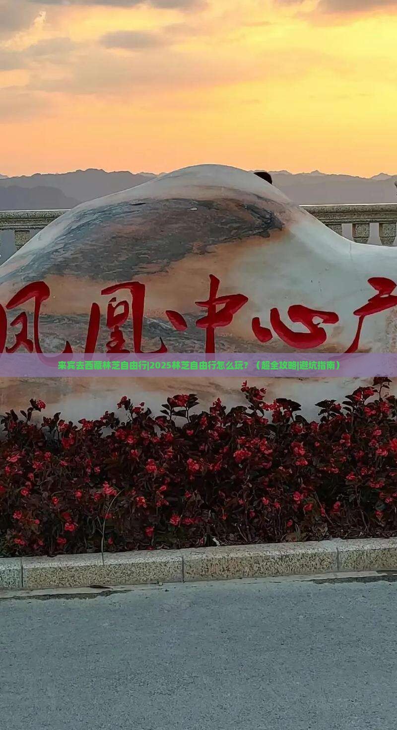 来宾去西藏林芝自由行