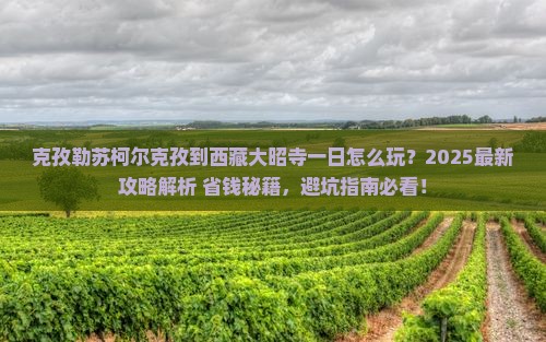 克孜勒苏柯尔克孜到西藏大昭寺一日