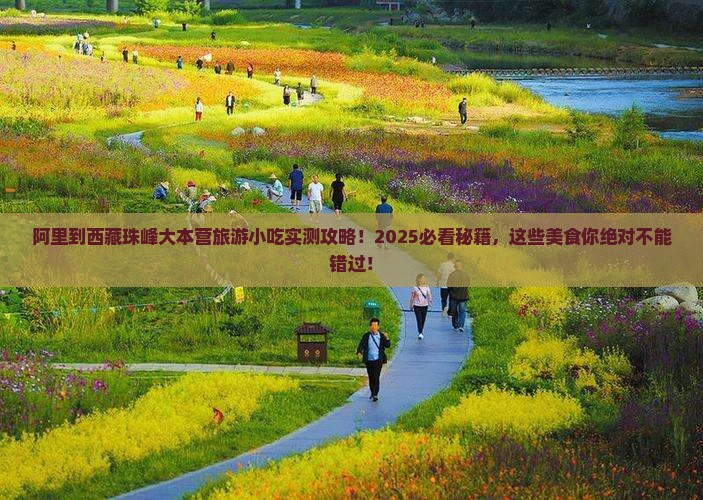 阿里到西藏珠峰大本营旅游小吃