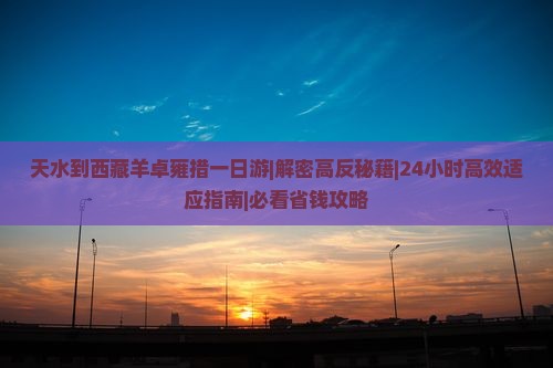 天水到西藏羊卓雍措一日
