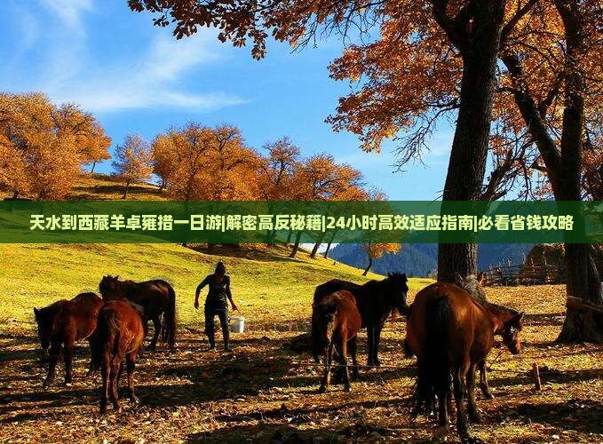 天水到西藏羊卓雍措一日