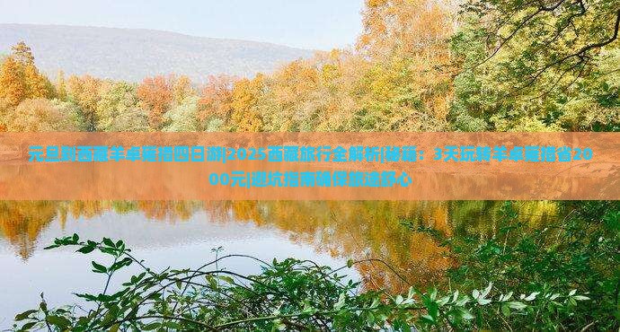 元旦到西藏羊卓雍措四日游