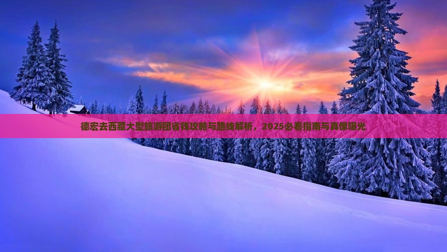 德宏去西藏大型旅游团