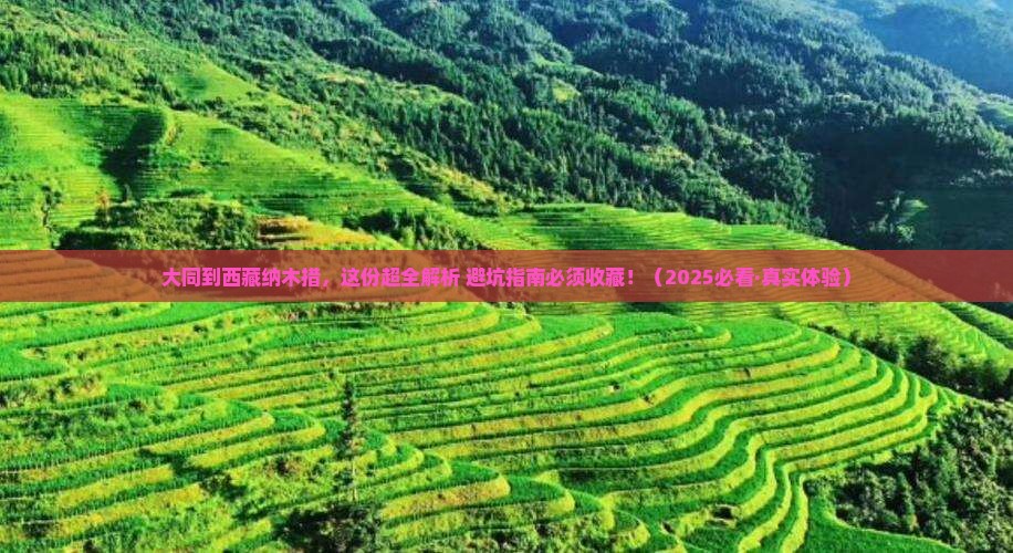 大同去西藏纳木措攻略