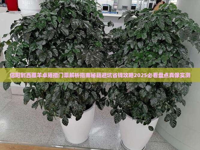 信阳到西藏羊卓雍措门票