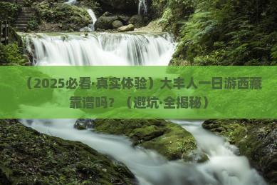 大丰到西藏一日