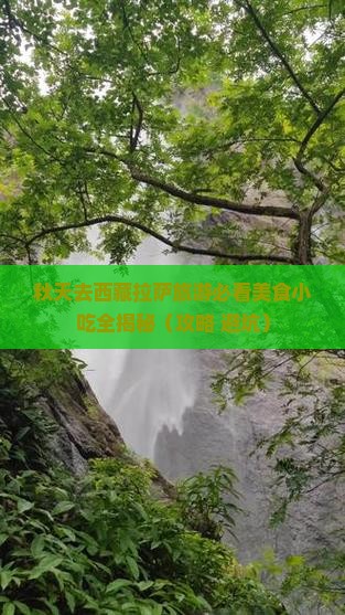 秋天去西藏拉萨旅游小吃